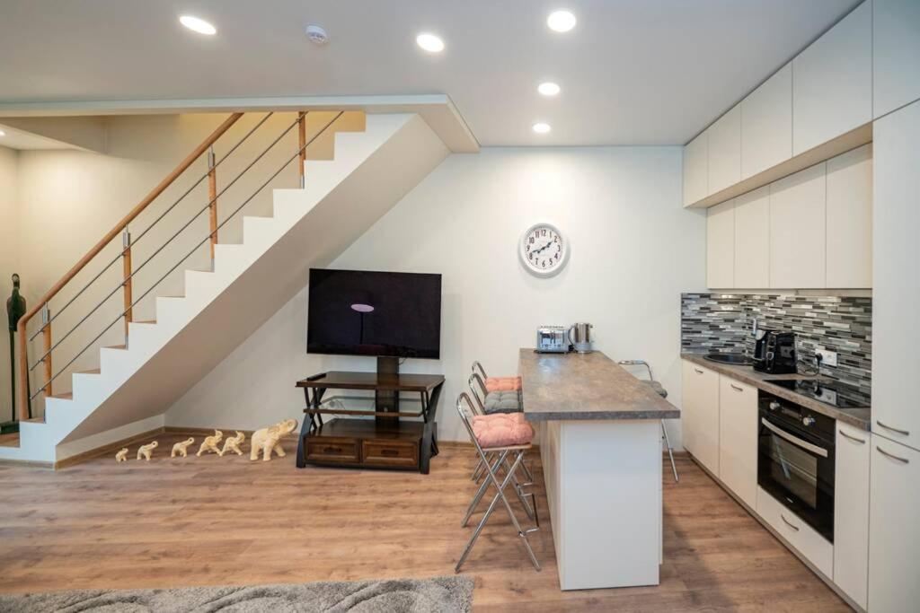 Homely Kreves Apartment By Polo Apartments 考纳斯 外观 照片