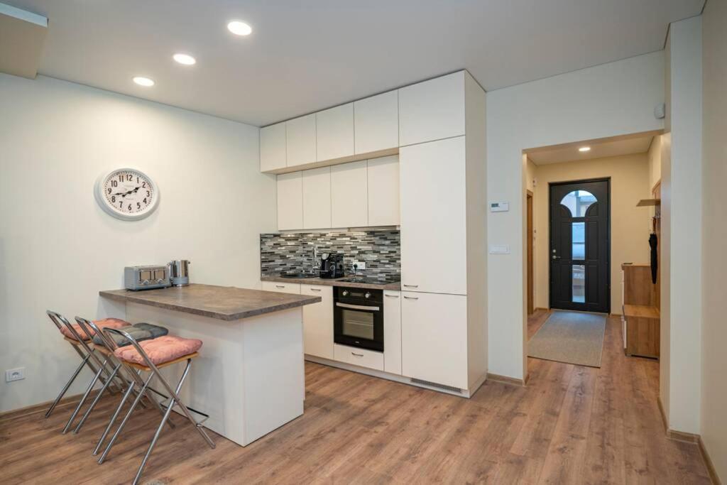 Homely Kreves Apartment By Polo Apartments 考纳斯 外观 照片